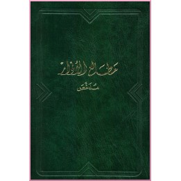 Chronique de Nabil abrégée en arabe