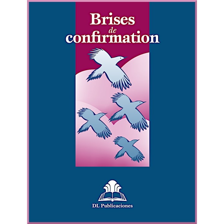 Ruhi - Préjeunes - Brises de confirmation