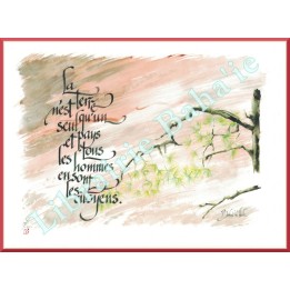 Calligraphie - C02 - 'La terre n'est qu'un seul pays...'